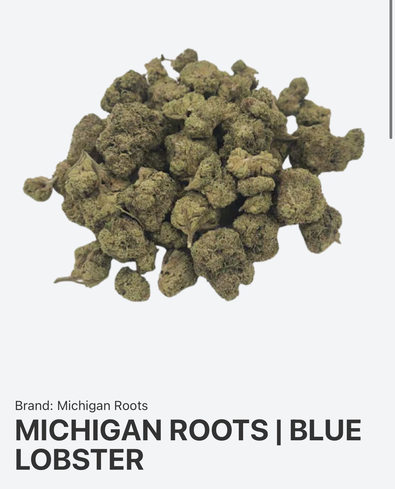 Blue Lobster cannabis strain 22% THC - Cancun Weed Dispensary delivery