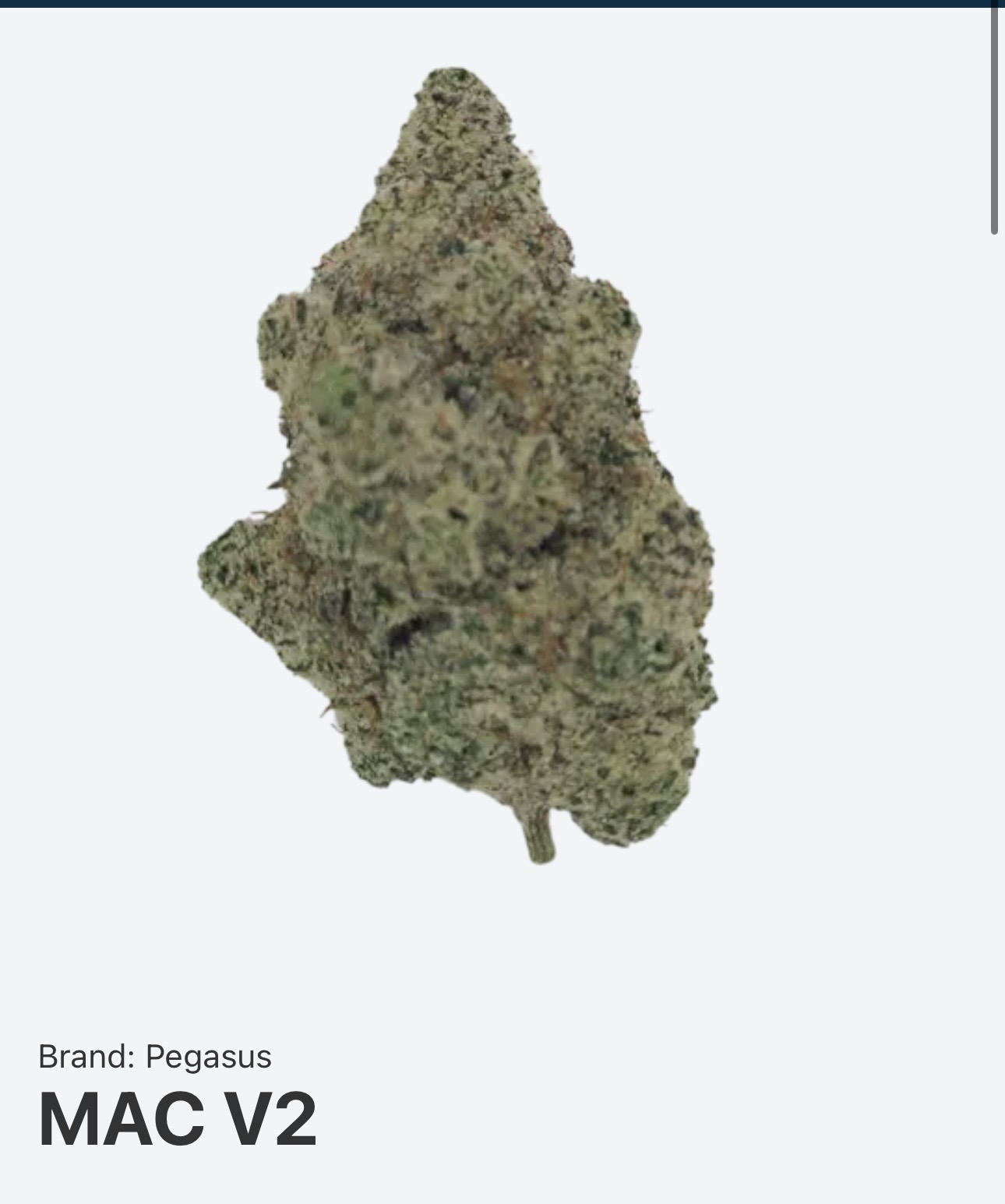 MAC V2 cannabis strain 24% THC - Cancun Weed Dispensary delivery